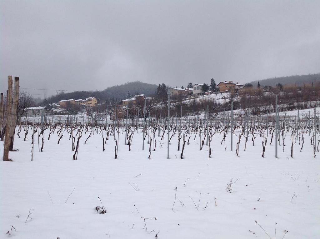 Azienda Agricola Garoglio Davide Alfiano Natta Екстер'єр фото
